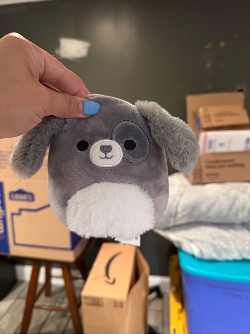 Gustavus Squishmallow Gray and White Puppy Plush NWOT Small